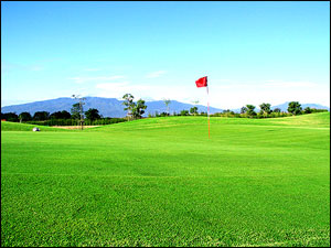 Mae Jo Golf Club green